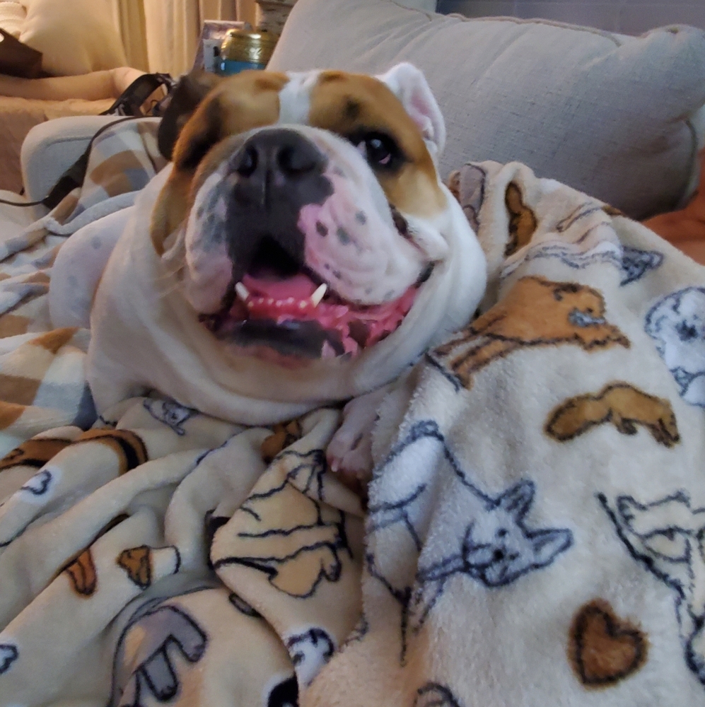 Meet your Posher, Lola